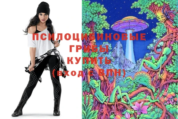 кристаллы Корсаков