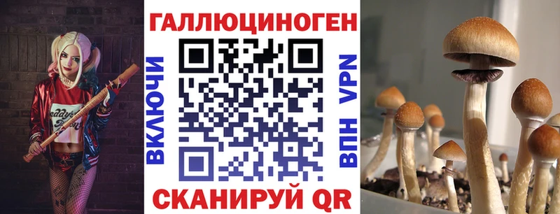 Купить где  Бикин  Псилоцибиновые грибы прущие грибы 